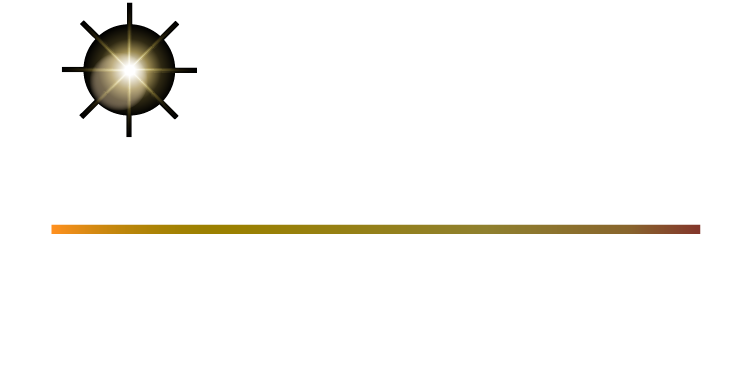 PERFORMER